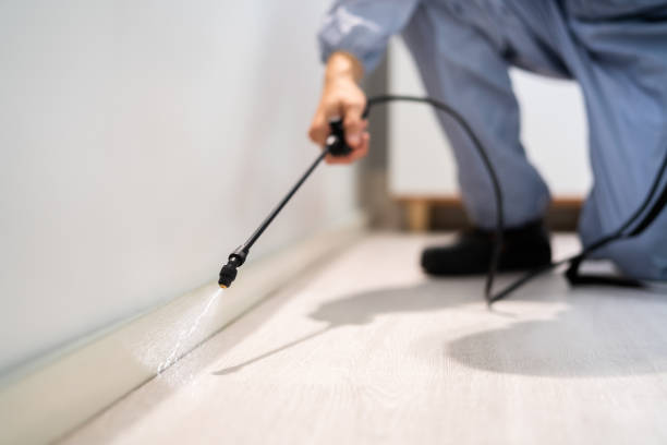 Licensed Mosquito Control service in Azle, TX - Nex Pest Control