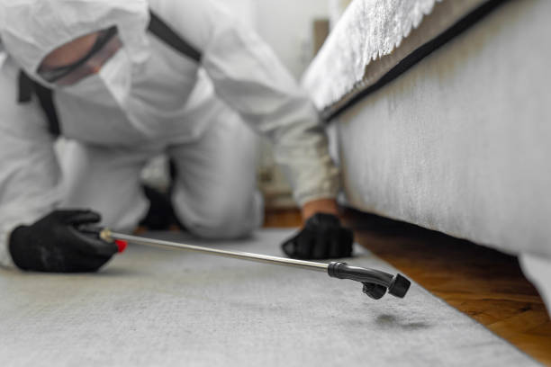 Professional Mosquito Control technician working in Azle, TX