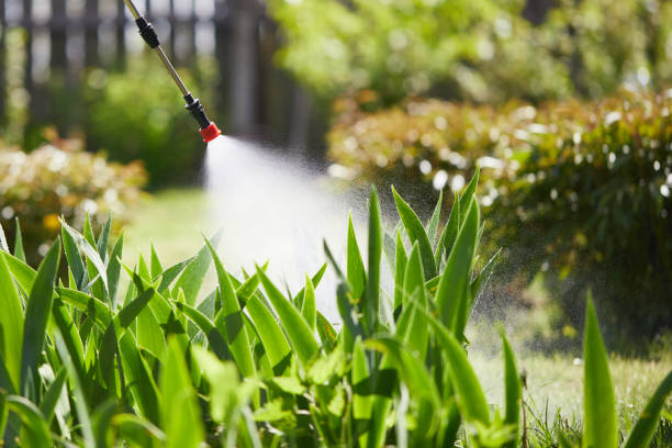 24/7 Emergency Mosquito Control experts in Azle, TX