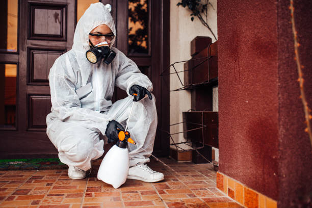 Reliable Mosquito Control contractor in Azle, TX by Nex Pest Control
