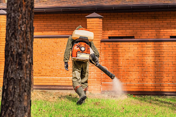 Top rated local Mosquito Control specialists in Azle, TX